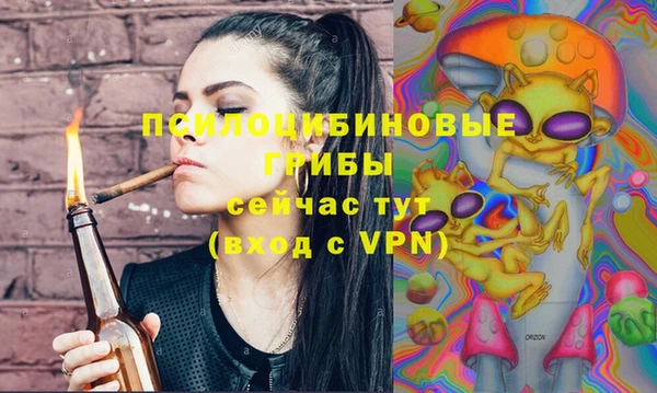 кокс Бородино